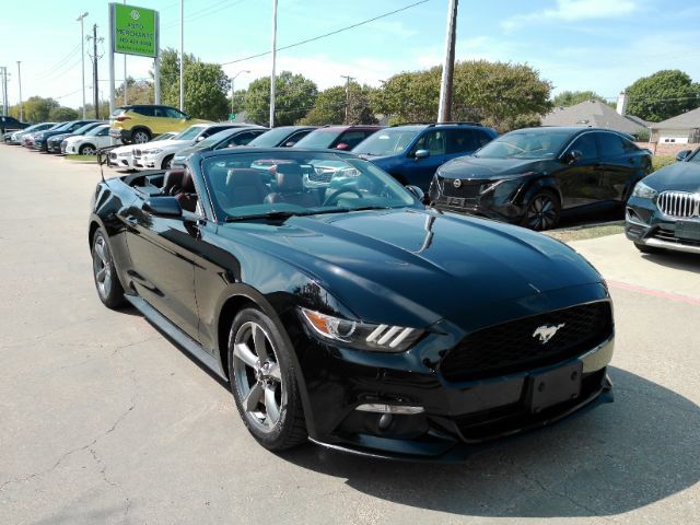Used 2015 Ford Mustang Premium w/ Equipment Group 201A RWD image 5