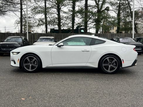 Used 2024 Ford Mustang Premium image 4