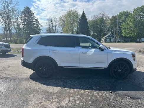 Used 2020 Kia Telluride SX w/ SX Prestige Package AWD/4WD image 6