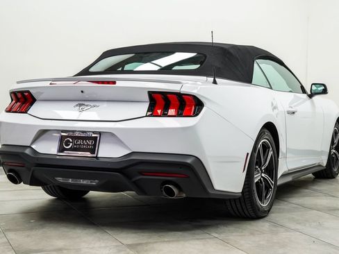 Used 2024 Ford Mustang Premium RWD image 12