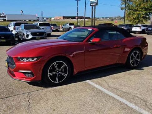 Used 2024 Ford Mustang Premium image 3