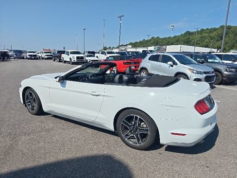 Used 2021 Ford Mustang Premium RWD image 5