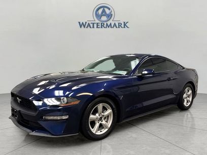 Used 2019 Ford Mustang Coupe