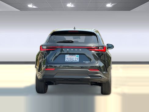 Certified 2025 Lexus NX 350h AWD w/ Cold Area Package image 9