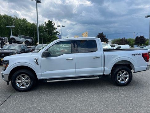 Used 2025 Ford F150 XLT w/ Equipment Group 301A Standard AWD/4WD image 4