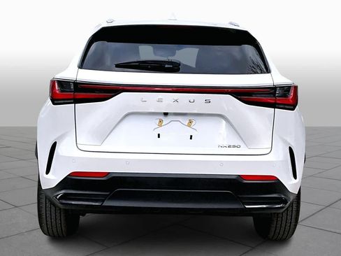 Used 2025 Lexus NX 250 FWD w/ Cold Area Package image 6