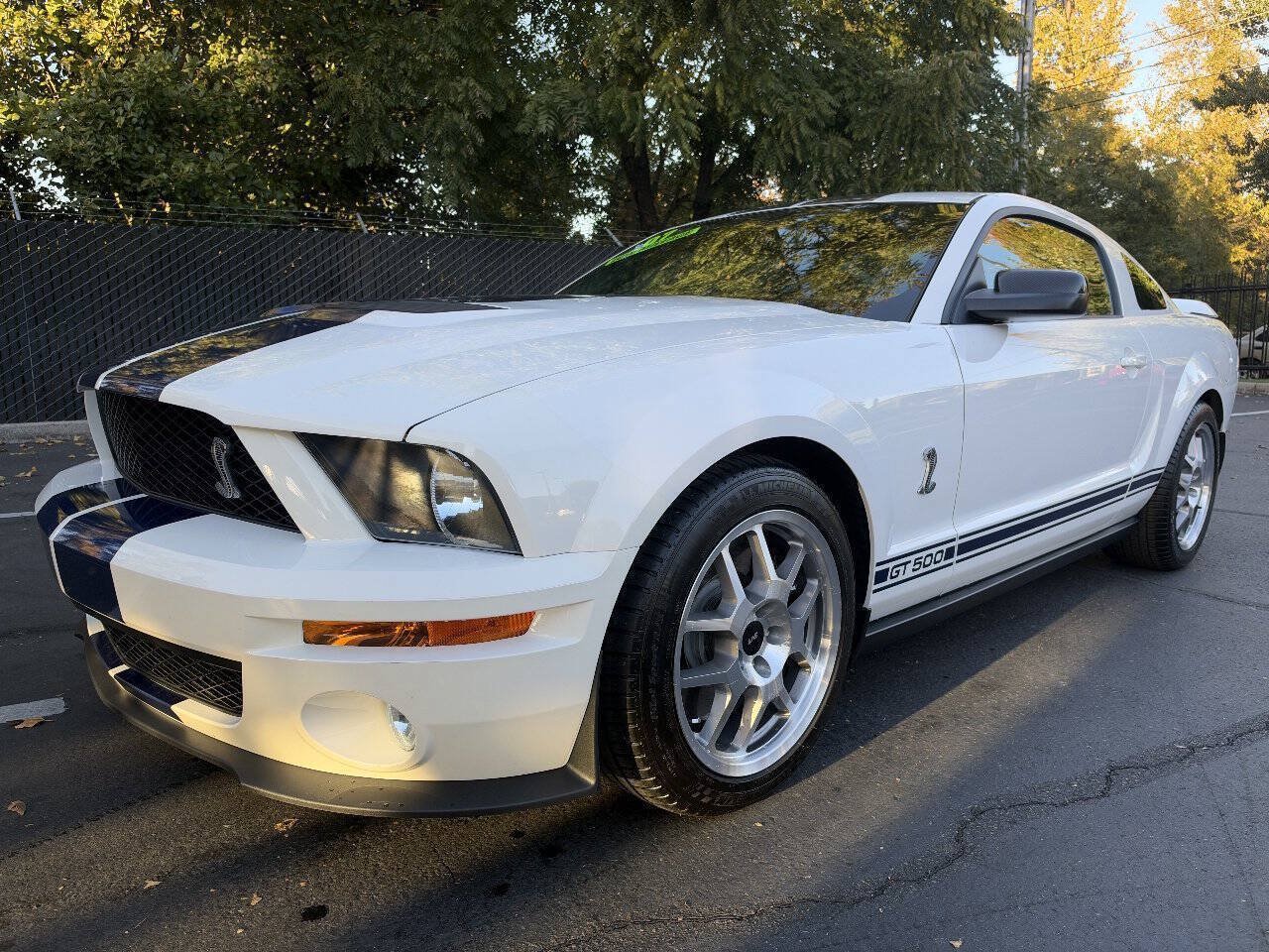Used 2007 Ford Mustang Shelby GT500 RWD image 1