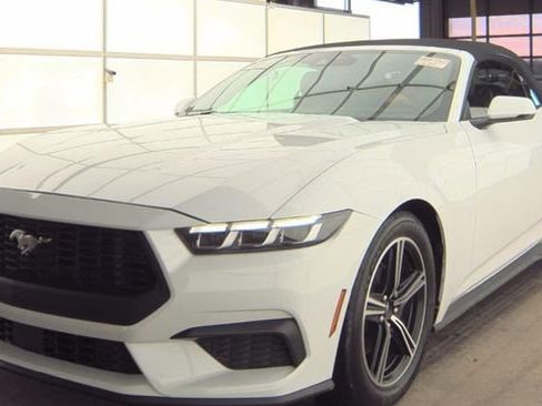 Used 2024 Ford Mustang Premium image 1