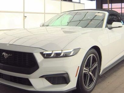 Used 2024 Ford Mustang Premium