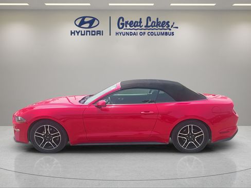 Used 2019 Ford Mustang Convertible RWD image 2