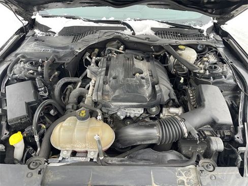 Used 2018 Ford Mustang Premium w/ Equipment Group 201A image 17