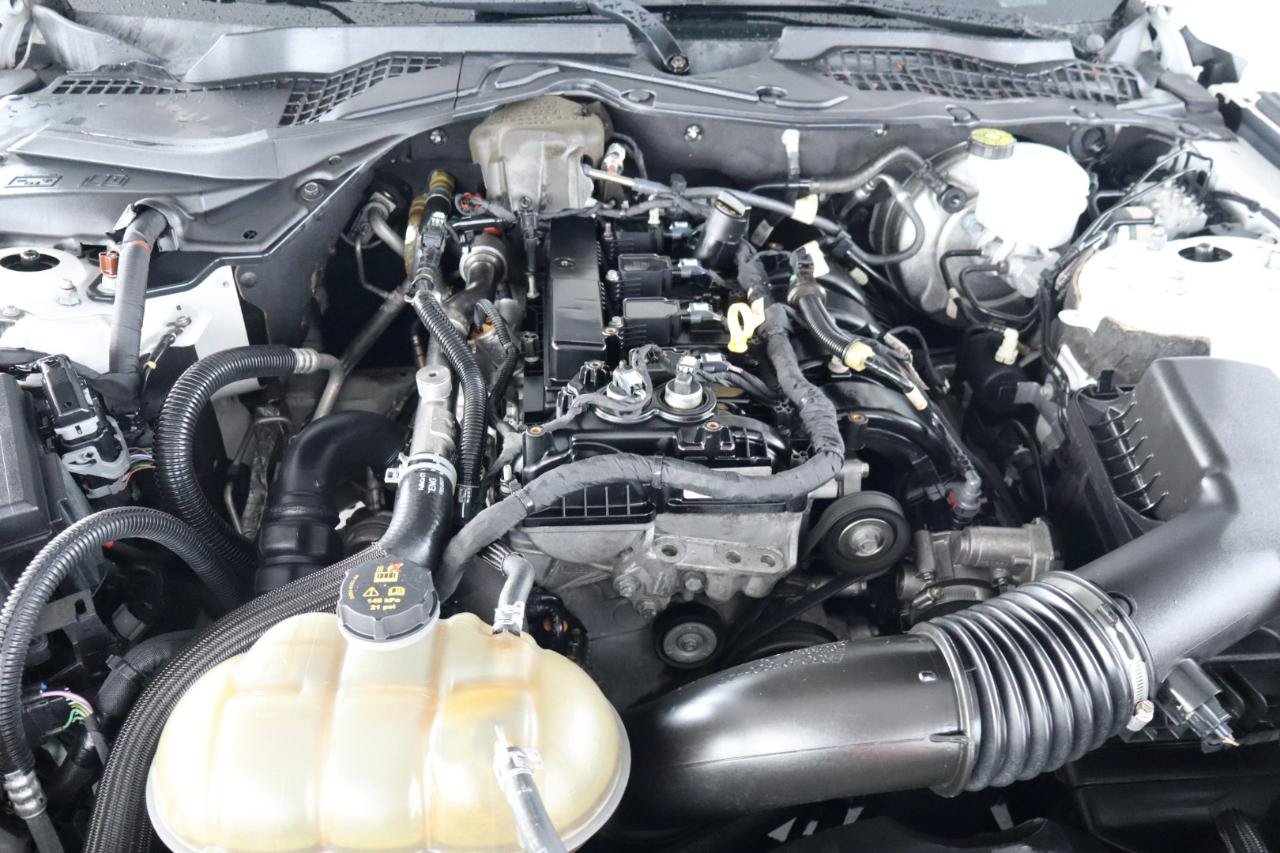 Used 2019 Ford Mustang Coupe RWD image 34