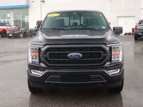 Used 2023 Ford F150 XLT w/ Equipment Group 302A High image 2