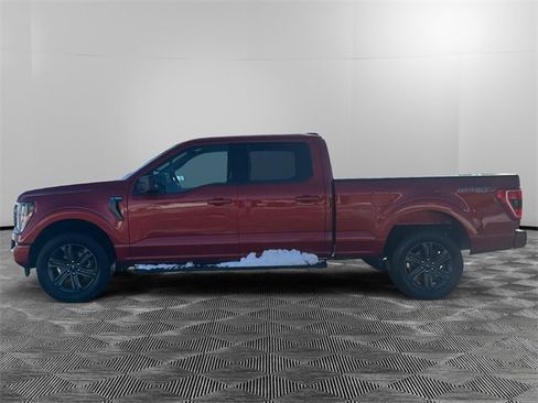 Used 2023 Ford F150 XLT w/ Equipment Group 301A Mid image 2