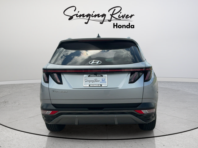 Used 2024 Hyundai Tucson Limited FWD image 6