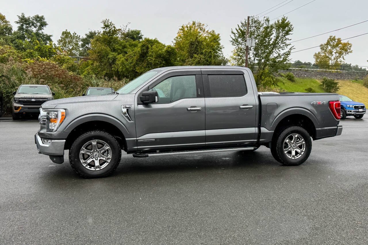 Used 2023 Ford F150 XLT w/ Equipment Group 302A High AWD/4WD image 6