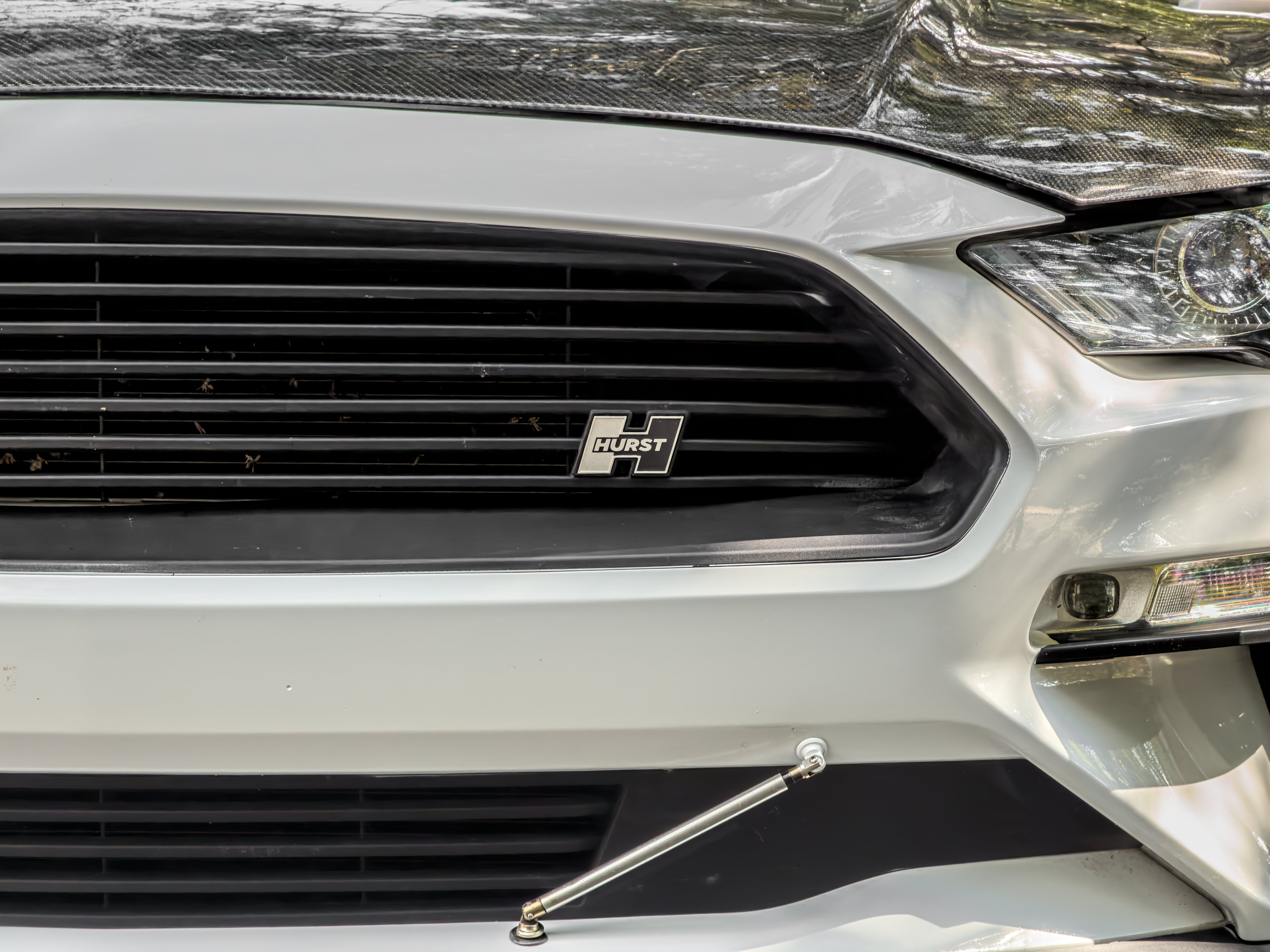 Used 2019 Ford Mustang GT Premium w/ GT Performance Package RWD image 52