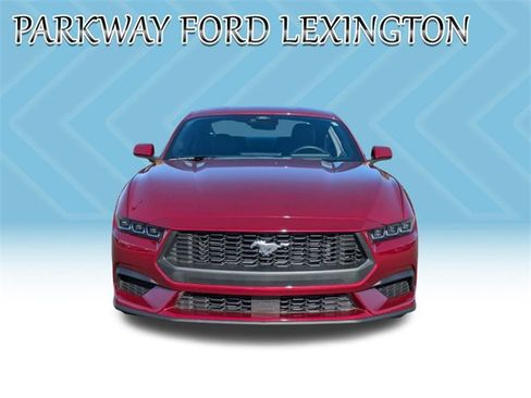 Used 2025 Ford Mustang EcoBoost image 2