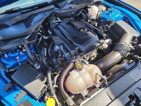 Used 2019 Ford Mustang Coupe w/ Equipment Group 101A image 12