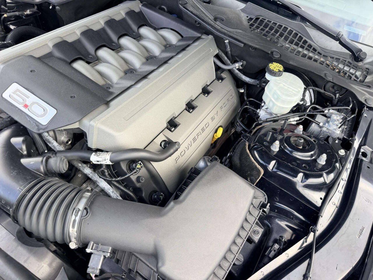 Used 2017 Ford Mustang GT RWD image 14