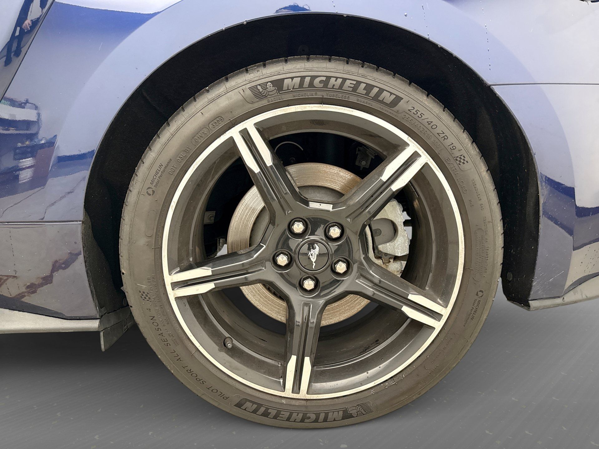 Used 2019 Ford Mustang GT Premium w/ California Special Package RWD image 13