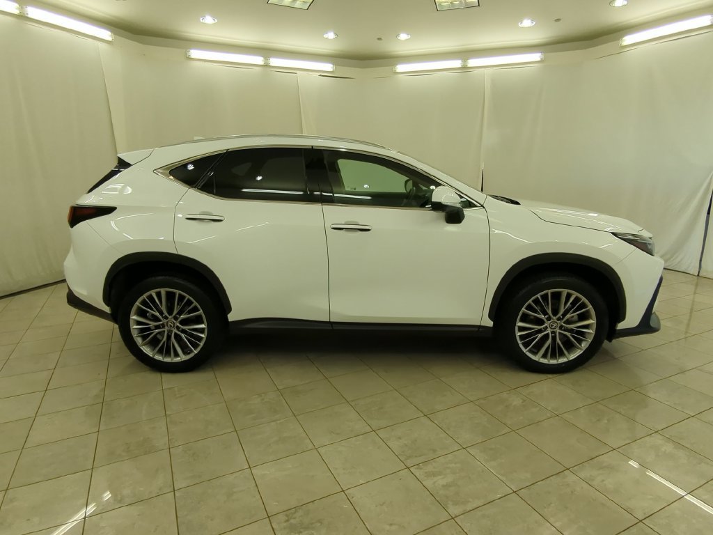 Certified 2026 Lexus NX 350 AWD w/ Accessory Package (2T) image 11