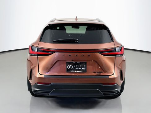 Certified 2025 Lexus NX 350h AWD w/ Cold Area Package image 6