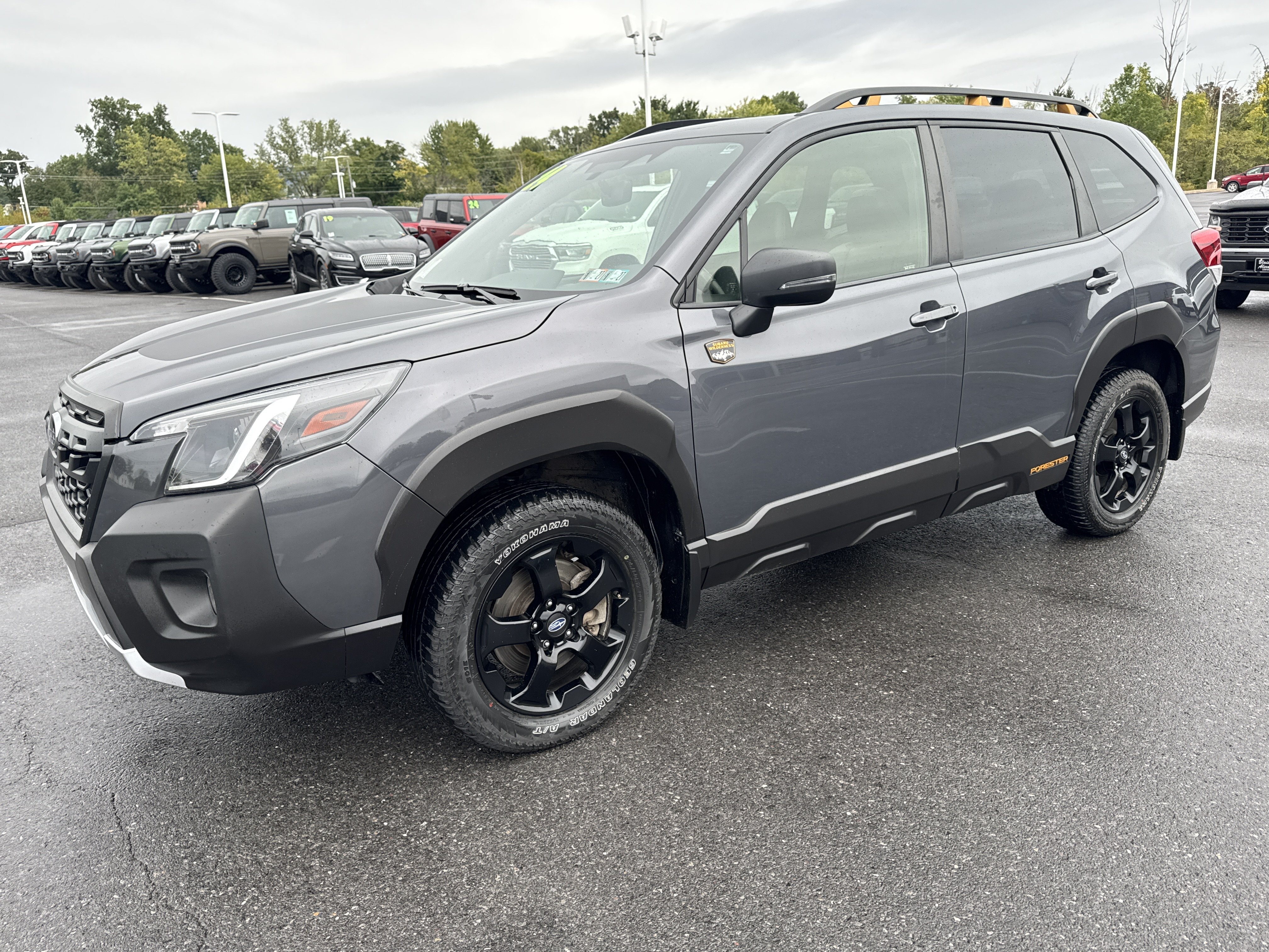 Used 2024 Subaru Forester Wilderness AWD/4WD image 9