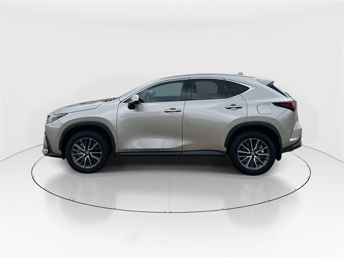Used 2025 Lexus NX 250 250 Premium image 5