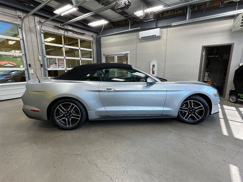 Used 2021 Ford Mustang Premium RWD image 6