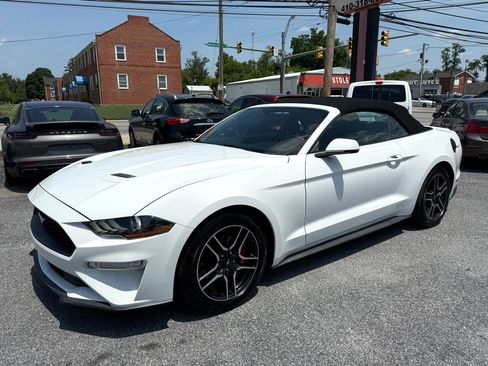 Used 2019 Ford Mustang Premium image 14