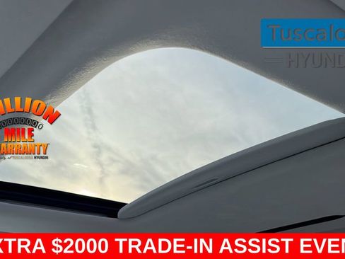 New 2026 Hyundai Palisade Calligraphy image 23