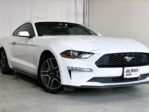 Used 2019 Ford Mustang Coupe w/ Equipment Group 101A image 1