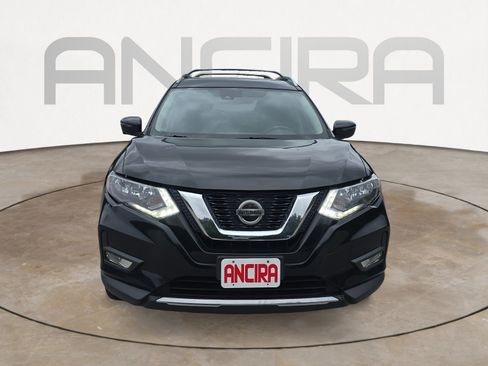 Used 2019 Nissan Rogue SV w/ Premium Package image 5