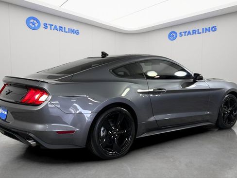 Used 2023 Ford Mustang Premium w/ Mustang Nite Pony Package image 9