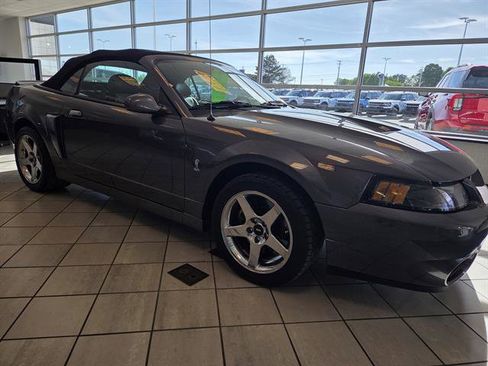 Used 2003 Ford Mustang Cobra RWD image 5
