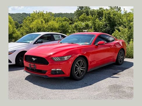 Used 2015 Ford Mustang Premium w/ Equipment Group 201A RWD image 1