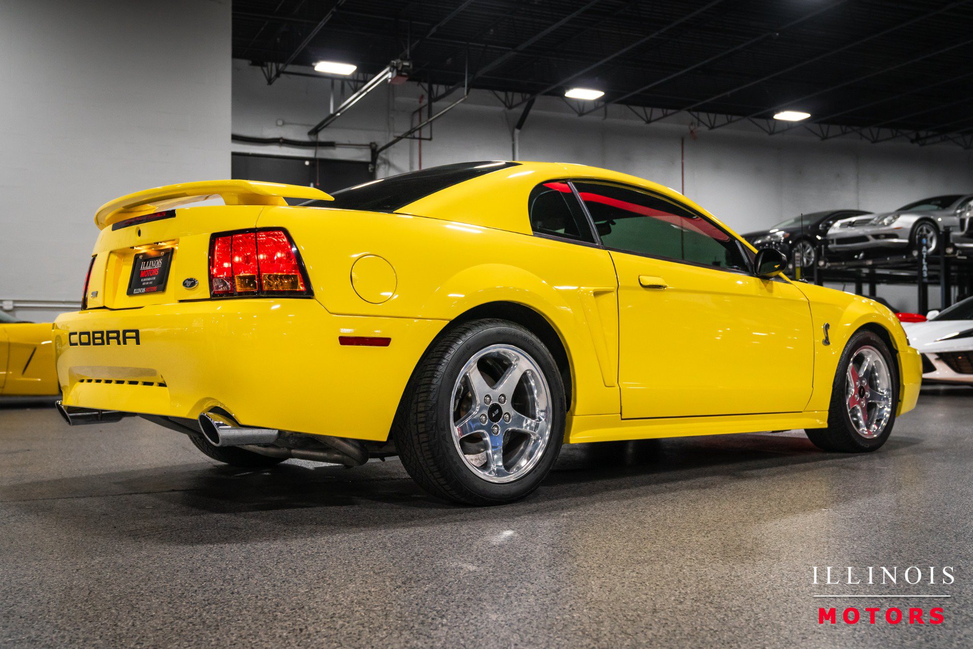 Used 2001 Ford Mustang Cobra RWD image 5