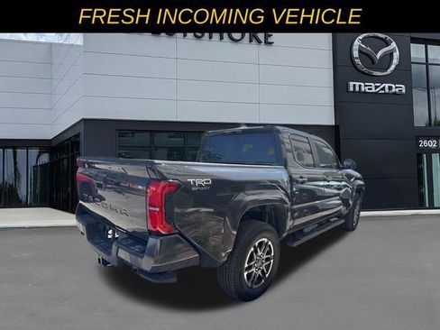 Used 2025 Toyota Tacoma TRD Sport image 7