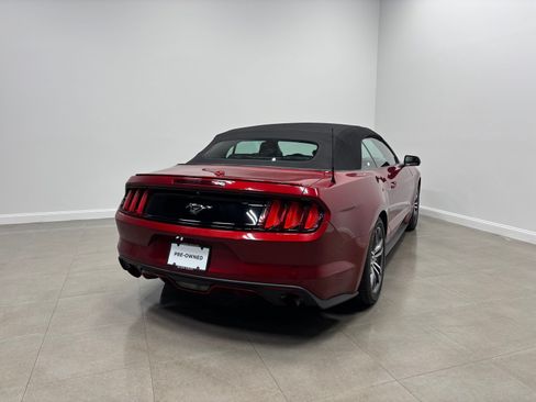 Used 2016 Ford Mustang Premium w/ Equipment Group 201A RWD image 7