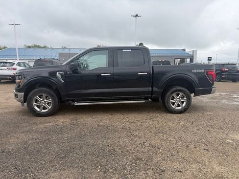 Used 2025 Ford F150 XLT w/ Equipment Group 301A Standard AWD/4WD image 2