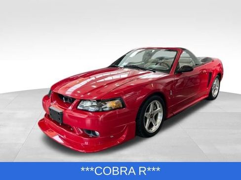 Used 1999 Ford Mustang Cobra image 1