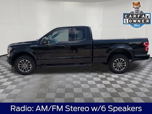 Used 2019 Ford F150 XLT w/ Equipment Group 302A Luxury AWD/4WD image 5
