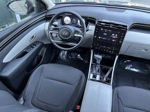 Used 2024 Kia Sportage X-Line w/ X-Line Premium Package AWD/4WD image 15