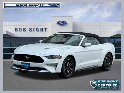 Used 2019 Ford Mustang Premium RWD image 1
