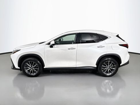 Used 2025 Lexus NX 350 AWD w/ Cold Area Package image 4