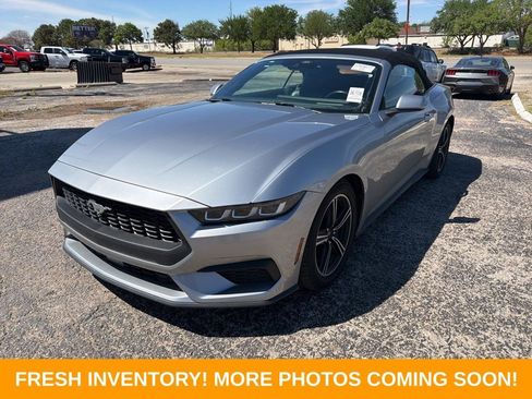 Used 2024 Ford Mustang Premium image 3