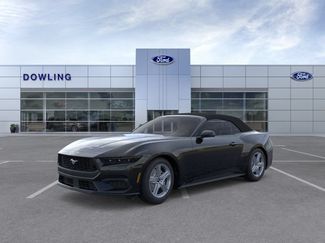 New 2026 Ford Mustang Premium RWD video 1