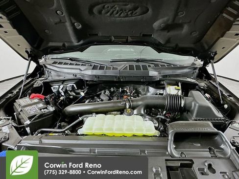 New 2025 Ford F150 XLT w/ Equipment Group 302A MID image 31