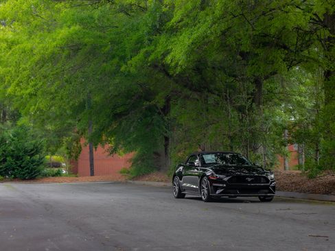 Used 2019 Ford Mustang Premium w/ Equipment Group 201A RWD image 40